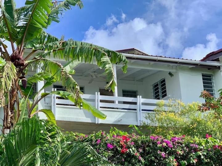Halcyon Heights Condominium Dickenson Bay Exterior foto